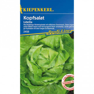 Kopfsalat Lidetta interface.image 2