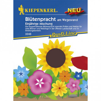 Sommerblumen an den Wänden interface.image 3