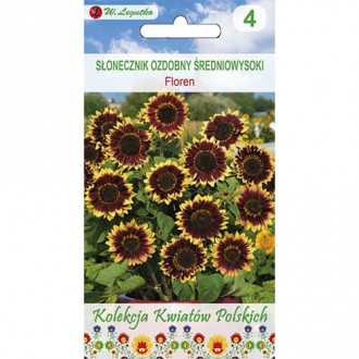 Sonnenblume Floren interface.image 5