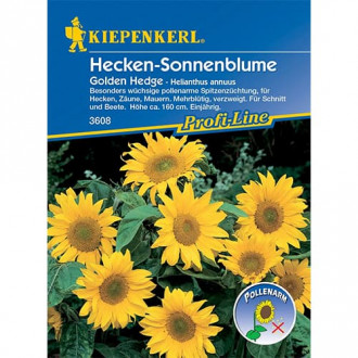 Sonnenblume Golden Hedge interface.image 4