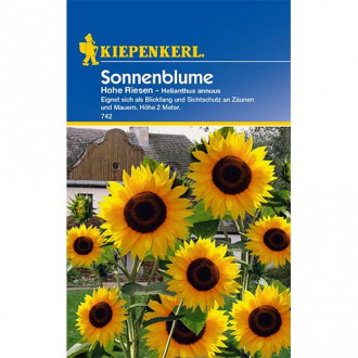 Sonnenblume Hohe Riesen interface.image 1