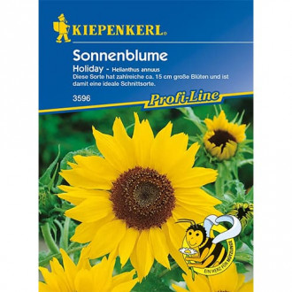 Sonnenblume Holiday interface.image 6