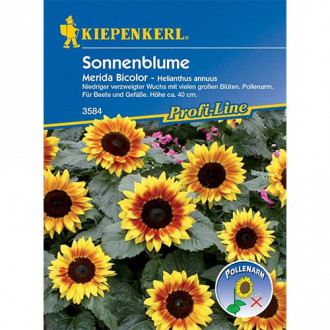 Sonnenblume Merida Bicolor interface.image 1