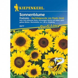 Sonnenblume Pradomio interface.image 5