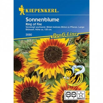 Sonnenblume Ring of Fire Kiepenkerl interface.image 3