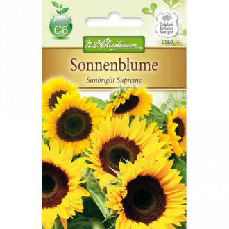 Sonnenblume Sunbright Supreme interface.image 3