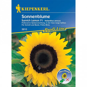 Sonnenblume Sunrich Lemon F1 interface.image 1