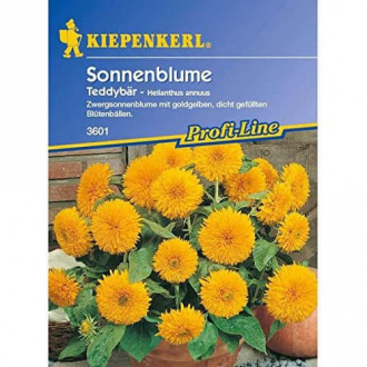 Sonnenblumen Teddybär interface.image 6