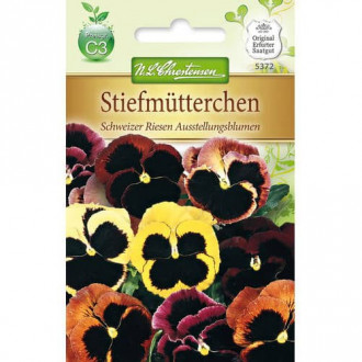 Stiefmütterchen Schweizer Riesen Ausstellungsblumen interface.image 6