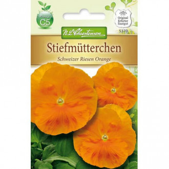 Stiefmütterchen Schweizer Riesen Orange interface.image 4