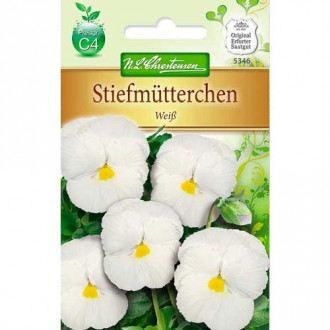 Stiefmütterchen White interface.image 1