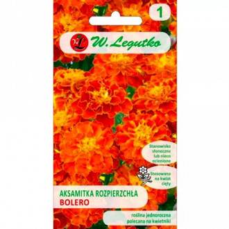 Studentenblume Bolero orange Legutko interface.image 3