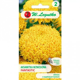 Tagetes Fantastic gelb Legutko interface.image 6