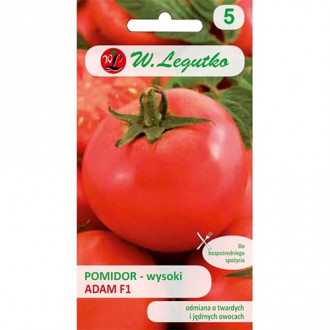 Tomate Adam F1 interface.image 6