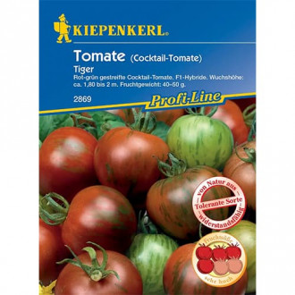Tomate Tiger F1 interface.image 2
