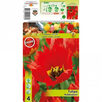 Tulpe Robbedoes interface.image 1