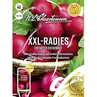 XXL - Radies Erfurter Riesenrot interface.image 4