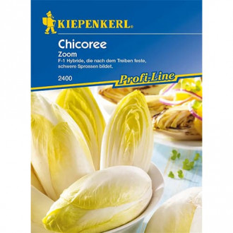 Chicoree Zoom F1 interface.image 5