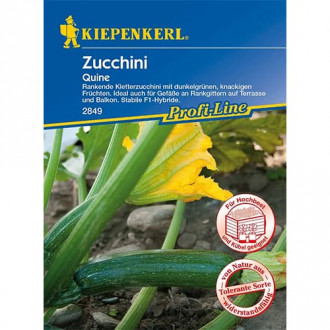 Zucchini Quine F1 interface.image 1