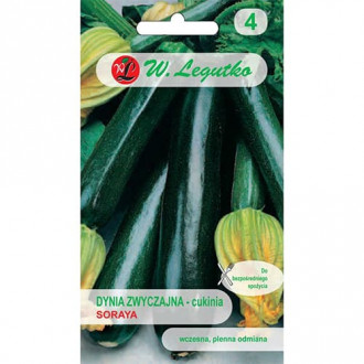 Zucchini Soraya interface.image 6