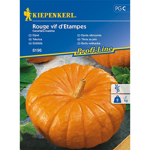 Kürbis Rouge vif d'Etampes interface.image 1 interface.art 86472