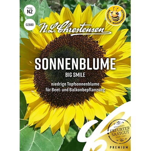 Sonnenblume Big Smile Chrestensen interface.image 1 interface.art 86188