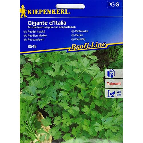 Petersilie Gigante d'Italia interface.art Bild 1 Petersilie Gigante d'Italia interface.image 1 interface.art 86503