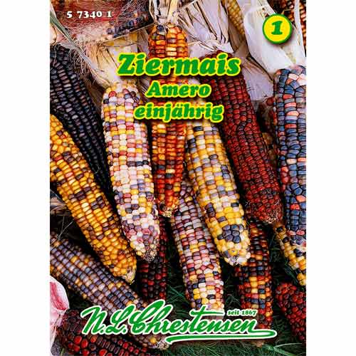 Ziermais Amero interface.art Bild 1 Ziermais Amero interface.image 1 interface.art 96457