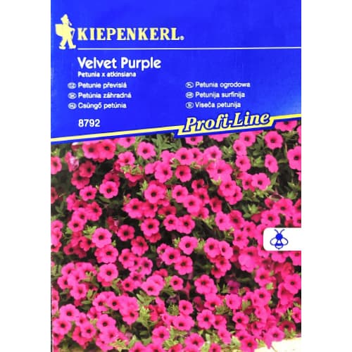 Petunie Velvet Purple F1 Kiepenkerl interface.image 1 interface.art 50061