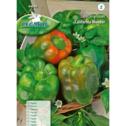 Paprika California Wonder Kiepenkerl interface.art Bild 1 Paprika California Wonder Kiepenkerl interface.image 1 interface.art 50015