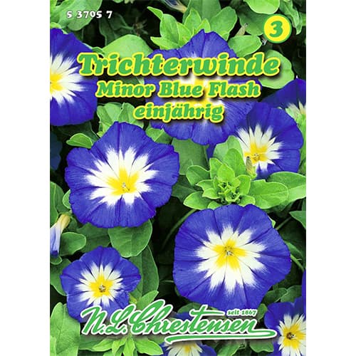 Trichterwinde Minor Blue Flash interface.image 1 interface.art 96411