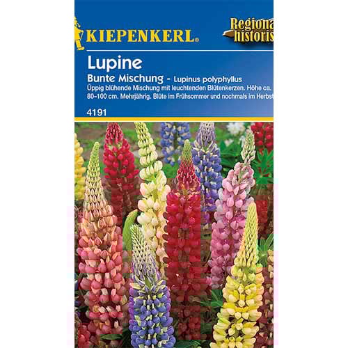 Lupine dauerhaft, mix interface.image 1 interface.art 86291