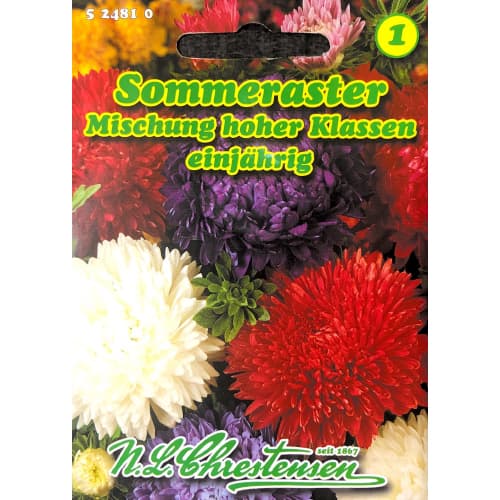 Sommeraster Mischung hoher Klassen Chrestensen interface.image 1 interface.art 87803