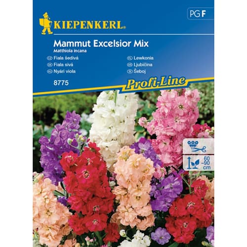 Levkoje Mammut Excelsior Mischung interface.image 1 interface.art 96558