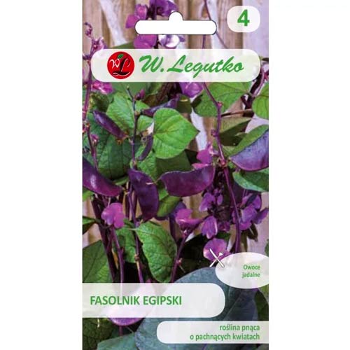 Ägyptische Bohne, rosa und violett Legutko interface.art Bild 1 Ägyptische Bohne, rosa und violett Legutko interface.image 1 interface.art 78552