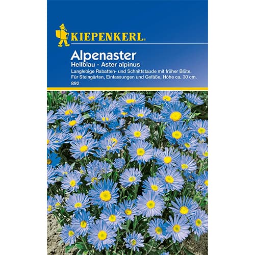 Alpenaster Hellblau interface.image 1 interface.art 77395