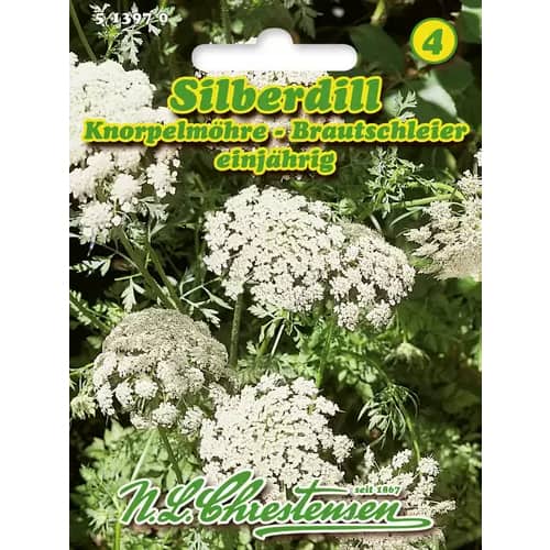 Silberdill Brautschleier Knorpelmöhre interface.art Bild 1 Silberdill Brautschleier Knorpelmöhre interface.image 1 interface.art 96400