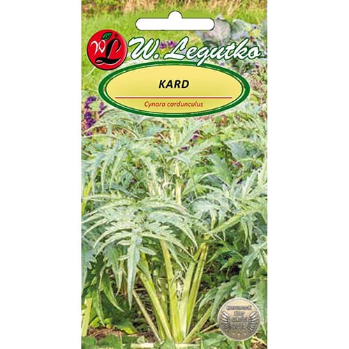 Artichocke Bianco interface.art Bild 1 Artichocke Bianco interface.image 1 interface.art 96809