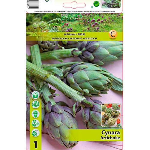 Artischock interface.art Bild 1 Artischock interface.image 1 interface.art 70502