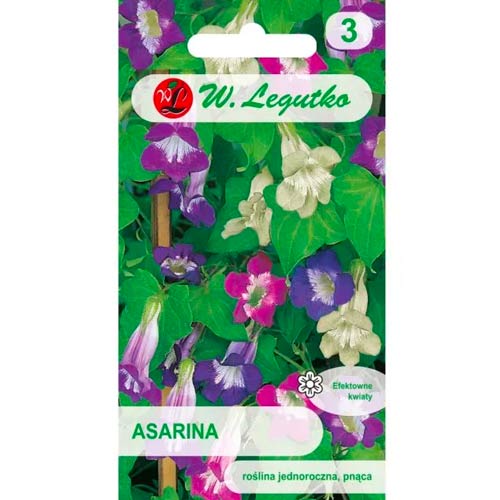 Asarina, mischung Legutko interface.art Bild 1 Asarina, mischung Legutko interface.image 1 interface.art 96765