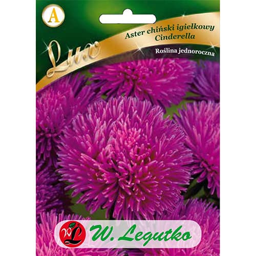 Aster Cinderella dunkelrot interface.image 1 interface.art 86742