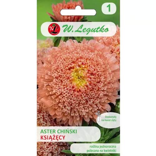 Aster hellrosa Legutko interface.image 1 interface.art 78514