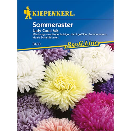 Sommeraster Lady Coral Mischung Kiepenkerl interface.image 1 interface.art 86312