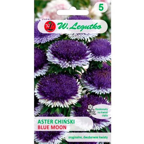 Aster Liliput Blue Moon Legutko interface.image 1 interface.art 69561