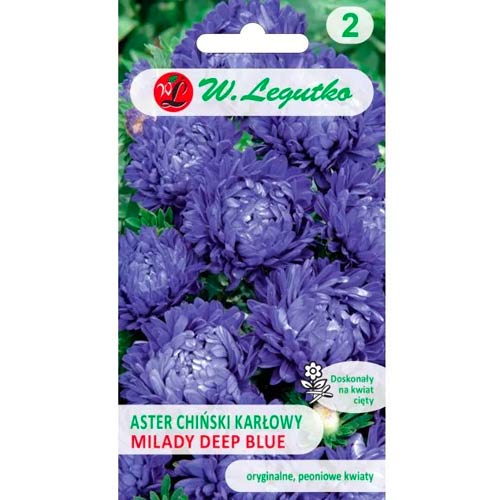 Aster Milady Deep Blue Legutko interface.image 1 interface.art 69557