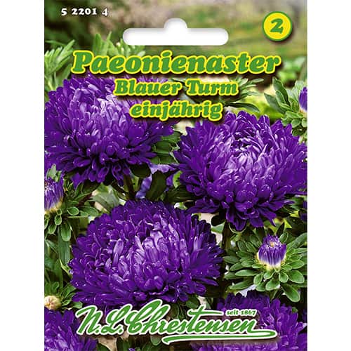 Paeonienaster Blauer Turm interface.image 1 interface.art 86134