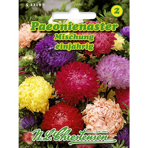 Peonienaster Mischung interface.image 1 interface.art 86135