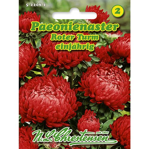 Paeonienaster Roter Turm interface.image 1 interface.art 86136