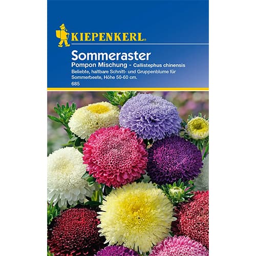 Sommeraster Pompon Mischung interface.image 1 interface.art 86315
