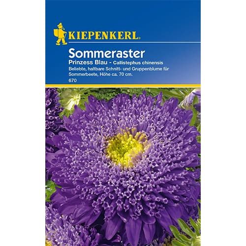 Sommeraster Prinzess Blau interface.image 1 interface.art 77427